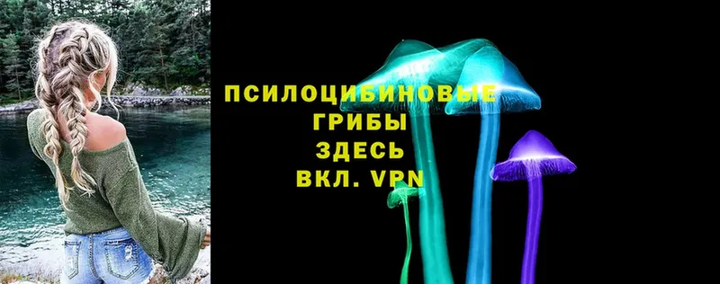 Галлюциногенные грибы MAGIC MUSHROOMS  даркнет сайт  Гдов 