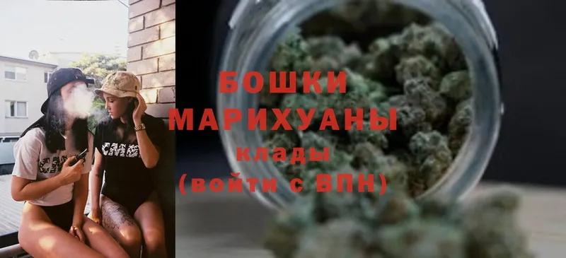 Шишки марихуана Bruce Banner  Гдов 